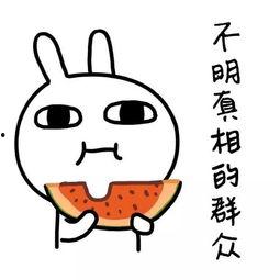 过度解读娱乐吃瓜酱